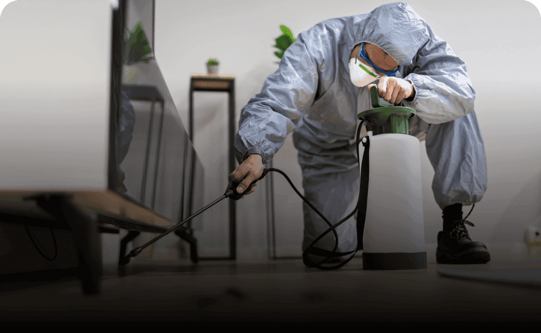 Pest Control Company – Adelaide