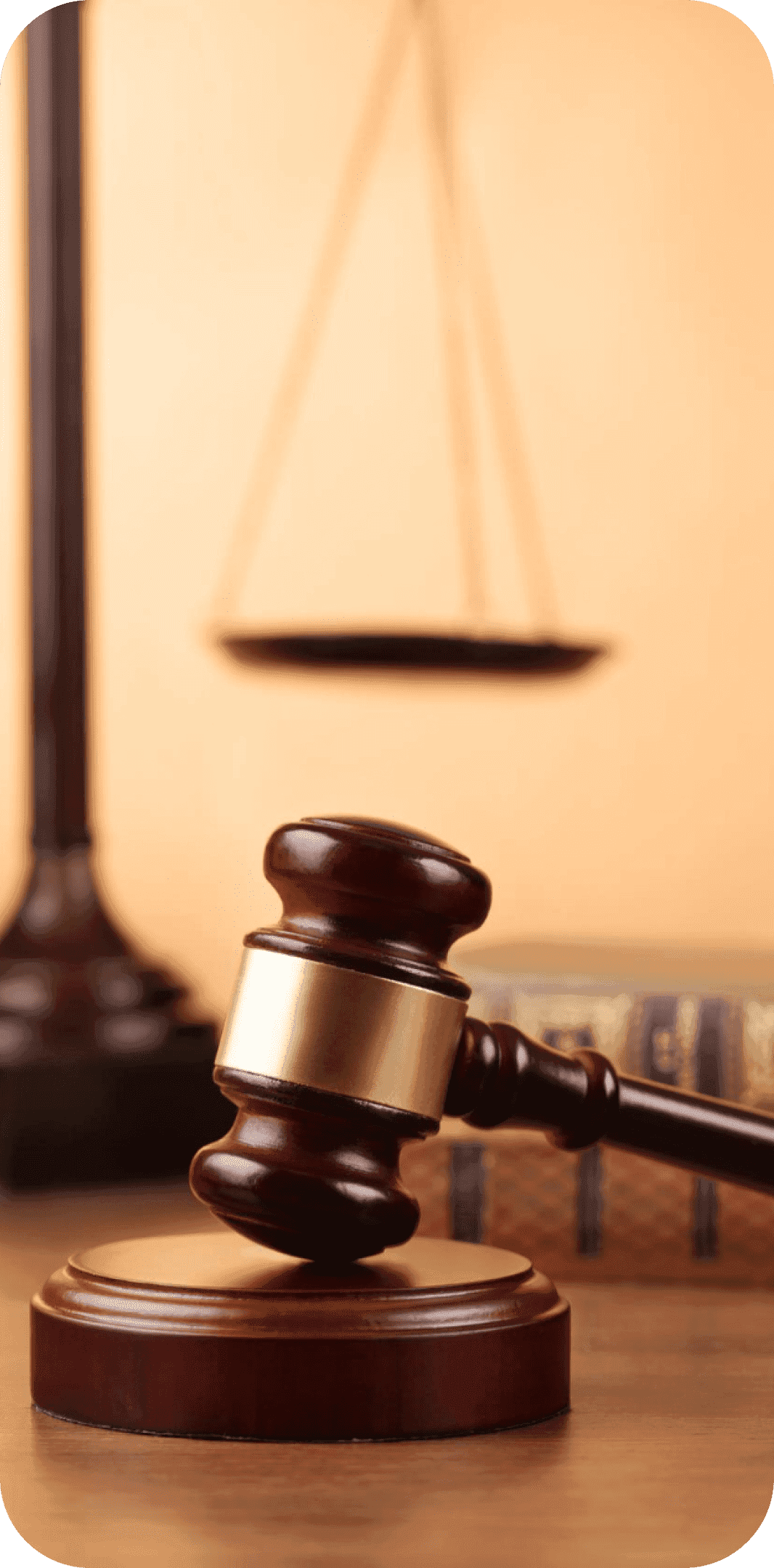 Law Roles
